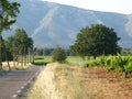 Rousset village vineyards landscape Royalty Free Stock Photo