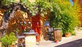 View on colorful rural idyllic natural ochre stone house provence style, red door, wine barrels, green garden with old grapevine a