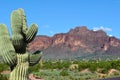 Route 66 Arizona cactus red mountain Royalty Free Stock Photo