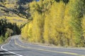 Route 145 on an autumn day in Colorado