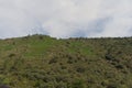 Route through the canyon of the Sil river. Royalty Free Stock Photo