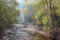 Seneca Rocks Trail, Monongahela National Forest, West Virginia Royalty Free Stock Photo