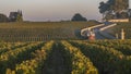 Route des Chateaux, Vineyard in Medoc, amous wine estate of Bordeaux wine