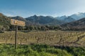 Route des vins road sign by Vineyard in Corsica