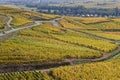 The Route des Vins Wines Route winds between vineyards of Alsace