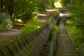 Sunlit trail alongside industrial pipelines through forest area Royalty Free Stock Photo