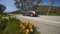 APRIL 7, 2019 - ROUTE 1, PCH, CENTRAL COAST, CA, USA - Route 1, Pacific Coast Highway (PCH) with spring flowers lining road