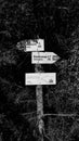 Route sign in the Carpathian mountains. Black and white photo