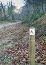 Route sign post red IMBA direction mark on forest hiking trail in autumn Royalty Free Stock Photo