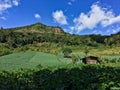 route between the trip to Pha Khun Tap Doi Pha Kaw Noi. Chiang Mai ProvinceThat has a cabbage garden And the mountain view in Royalty Free Stock Photo