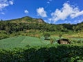 route between the trip to Pha Khun Tap Doi Pha Kaw Noi. Chiang Mai ProvinceThat has a cabbage garden And the mountain view in Royalty Free Stock Photo