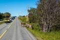 Route 862 in Troms, Northern Norway Royalty Free Stock Photo