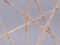 Routine network spider web of coarse threads on gray background Royalty Free Stock Photo