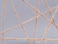 Routine network spider web of coarse threads on gray background Royalty Free Stock Photo