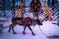 Rovaniemi - December 16, 2017: Tourists riding reindeers in Santa Claus village of Rovaniemi, Finland