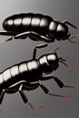 Rove Beetle Animal. AI Generated.