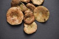 Rovellons, typical autumn mushroom of Spain