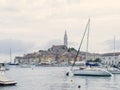 Rovinj Marina and the Old Town with Basilica of St. Euphemia at the top 0939