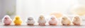 Row of adorable fluffy chicks on wooden surface with soft, bright backdrop banner. Panoramic web header. Wide screen Royalty Free Stock Photo