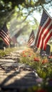 A row of American flags are displayed in a cemetery Royalty Free Stock Photo