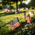 A row of American flags are displayed in a field Royalty Free Stock Photo
