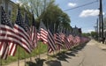 A row of american flags are lined up along a street. Ai generative Royalty Free Stock Photo