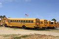 Row of American school busses, USA Royalty Free Stock Photo