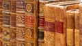 Row of ancient books with leather bindings Royalty Free Stock Photo