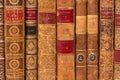 Row of ancient books with leather bindings Royalty Free Stock Photo