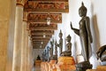 Row of Ancient Buddha Images Enshrined at the Gorgeous Cloister of Wat Benchamabophit Temple, Bangkok, Thailand