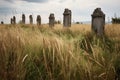 a row of ancient, weather-beaten gravestones in tall, wild grass Royalty Free Stock Photo