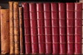 Row of Antique Leather Books Royalty Free Stock Photo