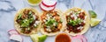 Row of assorted mexican street tacos with garnishes in wide banner composition