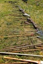 Row of auction spades, shovels, forks, and wood handled tools Royalty Free Stock Photo