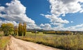 Row of autumn colour poplar trees lining the side of a dirt road Royalty Free Stock Photo