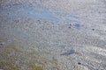 Abstract rippled wet sand background Royalty Free Stock Photo