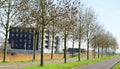 Row Of Bare Trees