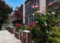 Row of Beautiful Gardens with Flowers during Spring by Old Brick Homes in Astoria Queens New York Royalty Free Stock Photo