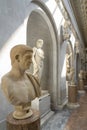 A row of beautiful marble statues of mostly men and only a few women in one of the museums in Vatican City, Rome