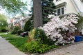 Row of Beautiful Neighborhood Homes with Flowers along a Sidewalk in Midwood Brooklyn of New York City Royalty Free Stock Photo