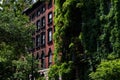 Row of Beautiful Old Brick Residential Buildings with Green Trees and Ivy in the East Village of New York City Royalty Free Stock Photo
