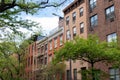 Row of Old Colorful Brick Residential Buildings along a Street in Chelsea of New York City Royalty Free Stock Photo