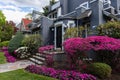 Row of Beautiful Old Neighborhood Homes in Midwood Brooklyn of New York City