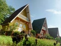 row of beautiful wooden minimalist houses
