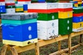 Row of bee colored hives in field Royalty Free Stock Photo