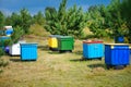 Row of bee colored hives in the forest