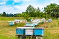 A row of bee hives in a field. Colored bee hives, located in a row, on the mixed forest on a summer day. Royalty Free Stock Photo