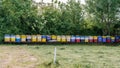 Row of bee hives in a field Royalty Free Stock Photo