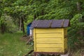 A row of beehives in a field of flowers with an orchard behind Royalty Free Stock Photo