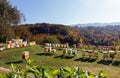 A row of bee hives in a field in mountains Montenegro. Bee keeping. Royalty Free Stock Photo